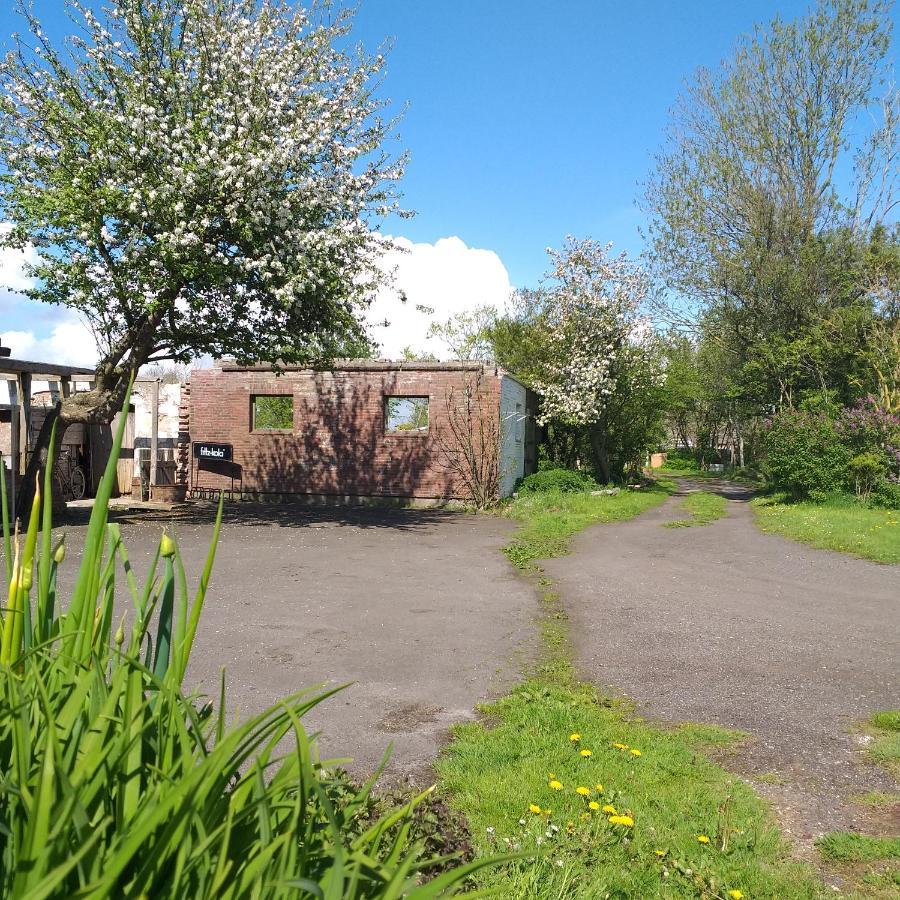 Wesselburenerkoog Ahoi B&B 외부 사진